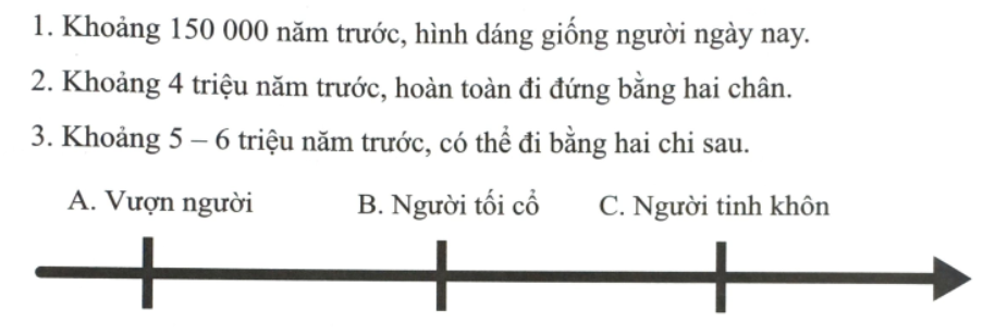 Hãy ghép các nội dung dưới đây tương ứng với các dạng người trên trục thời gian theo đúng (ảnh 1)