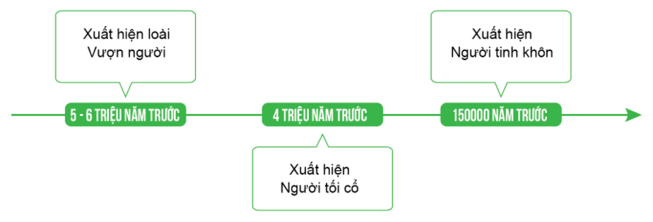 Hãy ghép các nội dung dưới đây tương ứng với các dạng người trên trục thời gian theo đúng (ảnh 1)