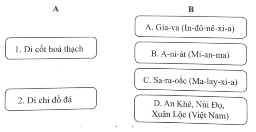 Hãy nối các dấu tích Người tối cổ ở Đông Nam Á ở cột A tương ứng với địa điểm tìm thấy ở cột B. (ảnh 1)