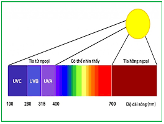 Nếu cùng cường độ chiếu sáng thì ánh sáng đơn sắc màu đỏ sẽ có hiệu quả quang (ảnh 1)