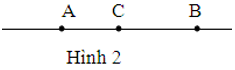 Câu 4: Cho hình vẽ (hình 2). Em hãy khoanh tròn vào câu đúng: (ảnh 1)