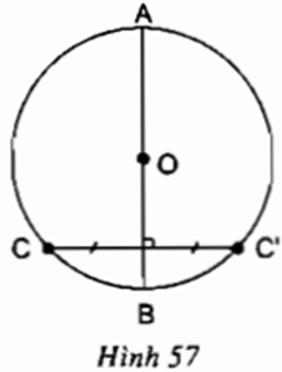 Cho đường tròn (O), AB là một đường kính bất kì và C là một điểm thuộc đường tròn. (ảnh 1)