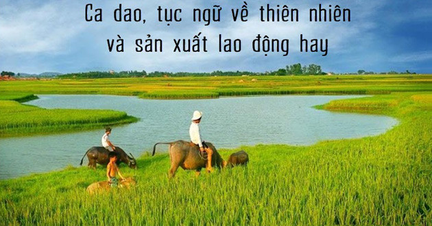 Tóm tắt Tục ngữ về thiên nhiên, lao động và con người, xã hội (2 mẫu) mới nhất 2023 - Cánh diều (ảnh 1)