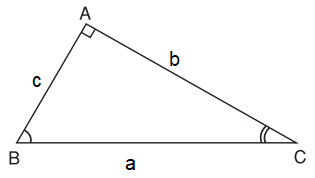Bài 4: Một số hệ thức về cạnh và góc trong tam giác vuông (ảnh 1)