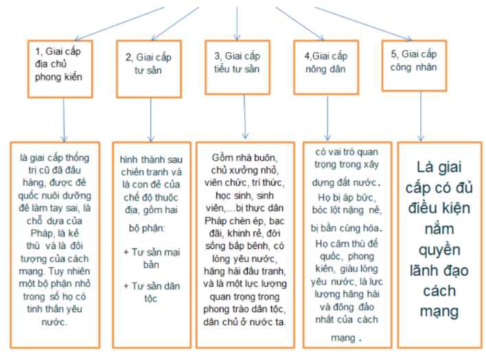  Hãy hoàn thiện sơ đồ sau về sự phân hoá giai cấp trong Xã hội Việt Nam sau (ảnh 2)