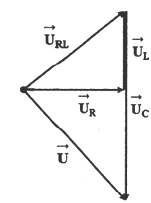 Đặt điện áp xoay chiều u = U0cosomegat vào hai đầu A. 30 V (ảnh 1)