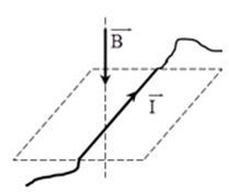 Một đoạn dây dẫn có dòng điện I nằm A. thẳng đứng hướng từ dưới lên (ảnh 1)