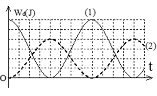 Hai con lắc lò xo dao động điều hòa có động A. 81/25 (ảnh 1)