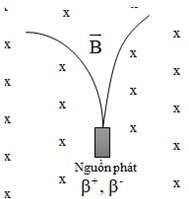 Vết của các hạt beta+ và beta- phát ra từ nguồn N A. động năng của (ảnh 1)