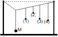 Thực hiện thí nghiệm về dao động cưỡng bức như hình bên A. con lắc (1). (ảnh 1)