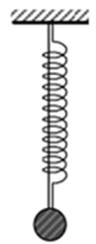 Một lò xo và một sợi dây đàn hồi nhẹ có cùng chiều A. 0,157 s (ảnh 1)