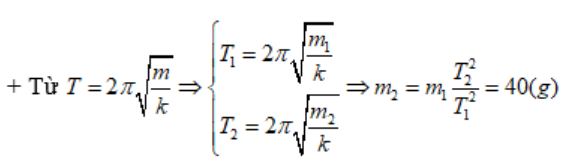Một lò xo treo phương thẳng đứng, khi mắc vật m1 vào (ảnh 1)