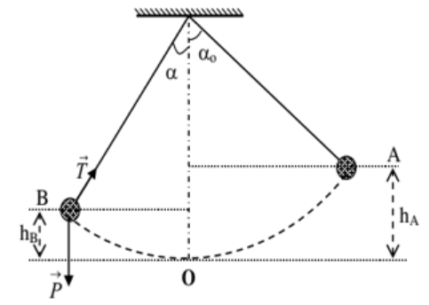Một con lắc đơn gồm vật nặng khối lượng m, dây treo có chiều (ảnh 1)