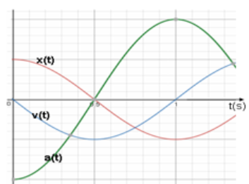 Trong dao động điều hòa đồ thị biểu diễn sự biến đổi của A (ảnh 1)