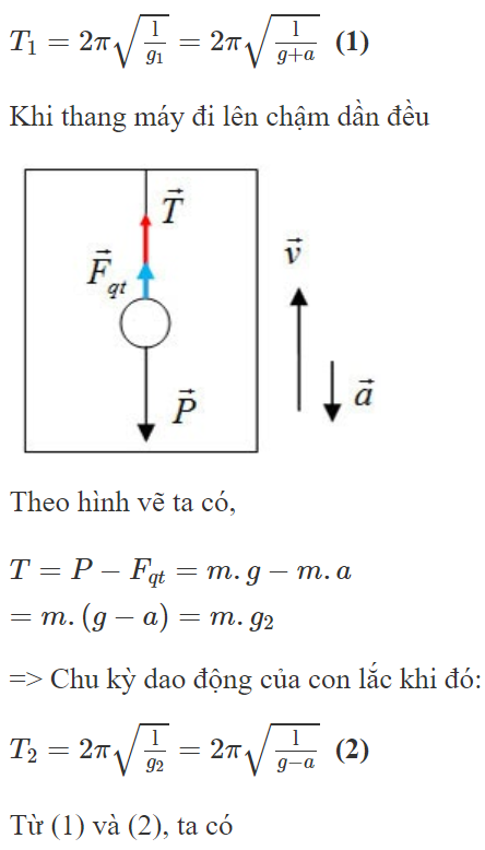 Một con lắc đơn được treo vào trần một thang máy. Khi thang (ảnh 1)