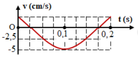 Hình bên là đồ thị biểu diễn sự phụ thuộc của vận tốc v theo thời gian t của một (ảnh 1)
