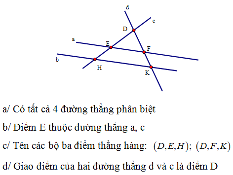 Vẽ đường thẳng  Lấy điểm O thuộc đường thẳng xy  Lấy điểm M thuộc tia Ox  điểm N thuộc tia Oy. (ảnh 1)
