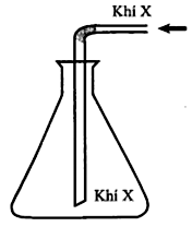 Trong phòng thí nghiệm, khí X được điều chế và thu vào bình tam giác như hình (ảnh 1)