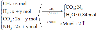 Hỗn hợp E gồm chất X (CmH2m+4O4N2 ) là muối của axit cacboxylic (ảnh 1)