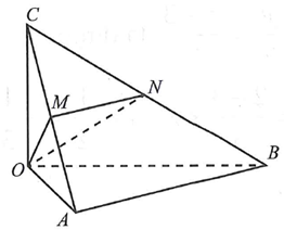 Cho khối tứ diện OABC với OA, OB, OC vuông góc từng đôi một và OA=a;OB=2a (ảnh 1)