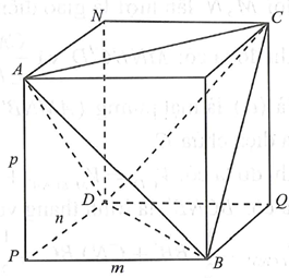 Cho tứ diện ABCD có AB=CD=11m, BC=AD=20m,BD=AC=21m. (ảnh 1)