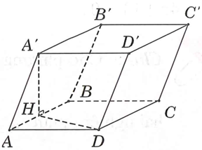 Cho lăng trụ ABCD.A'B'C'D' có đáy ABCD là hình vuông cạnh a, cạnh bên AA'=a (ảnh 1)