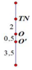 Một con lắc lò xo treo thẳng đứng gồm một lò xo nhẹ có độ (ảnh 1)