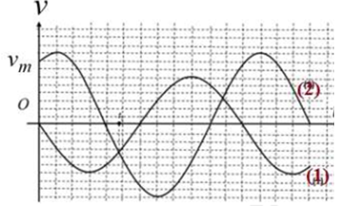 Hai chất điểm dao động điều hòa cùng tần số dọc theo hai đường (ảnh 1)