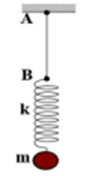 Một con lắc lò xo gồm lò xo nhẹ có độ cứng k = 50 N/m (ảnh 1)