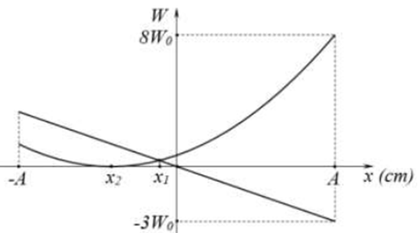 Một con lắc lò xo dao động điều hòa theo phương thẳng A (ảnh 1)