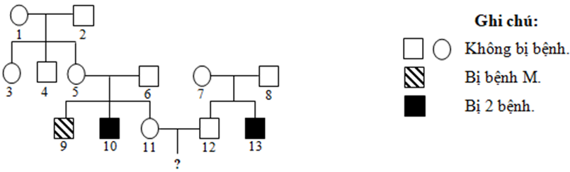 Ở người, bệnh A và bệnh B là hai bệnh do đột biến gen lặn nằm (ảnh 1)