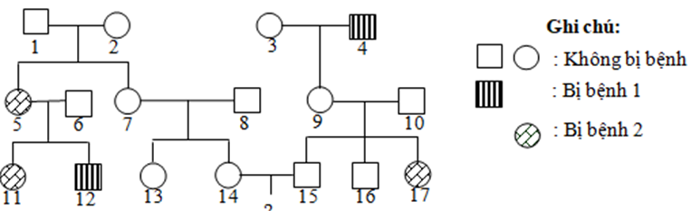 Phả hệ sau đây mô tả sự di truyền của 2 bệnh phân li độc lập (ảnh 1)