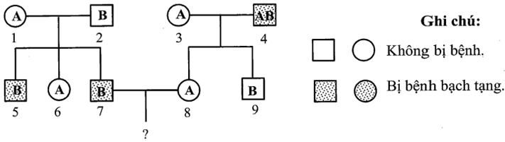 Sơ đồ phả hệ hình bên mô tả sự di truyền 2 tính trạng (ảnh 1)