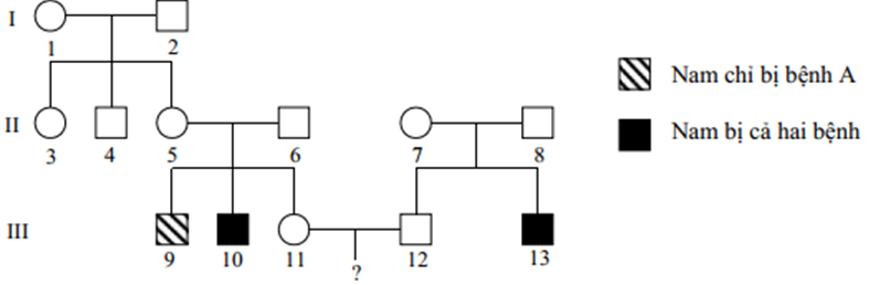 Ở người, bệnh A và bệnh B là hai bệnh do đột biến gen lặn (ảnh 1)