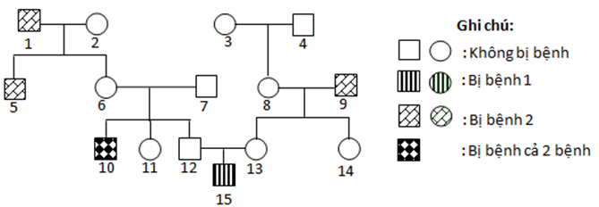 Phả hệ sau đây mô tả sự di truyền của 2 bệnh do alen lặn (ảnh 1)