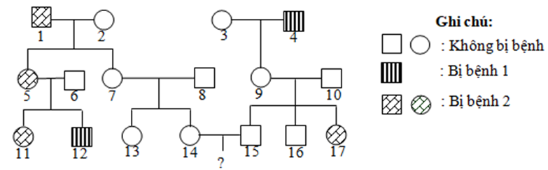 Phả hệ sau đây mô tả sự di truyền của 2 bệnh, mỗi bệnh do 1 (ảnh 1)