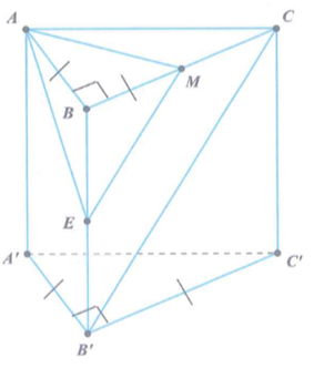 Cho lăng trụ đứng tam giác ABC.A'B'C' có đáy là một tam giác (ảnh 1)