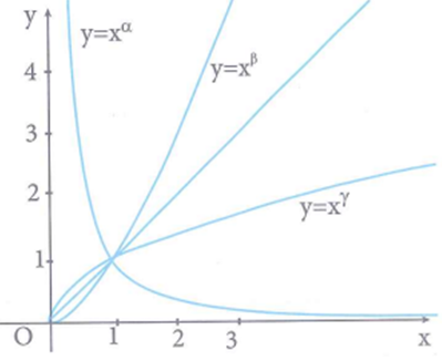 Cho các hàm số lũy thừa y=x^alpha; y=x^beta;y=x^gamma (ảnh 1)