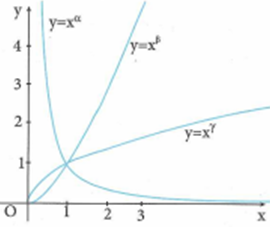 Cho các hàm số lũy thừa y=x^alpha; y=x^beta;y=x^gamma (ảnh 1)