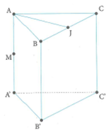 Cho lăng trụ tam giác đều ABC.A'B'C' có cạnh đáy bằng a (ảnh 1)