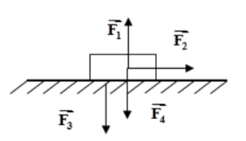 Quan sát hình vẽ bên, cặp lực cân bằng là: vecto F1 và vecto F3 (ảnh 1)