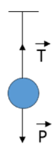 Trong cách mô tả sau đây về tương quan giữa trọng lượng P và lực (ảnh 1)
