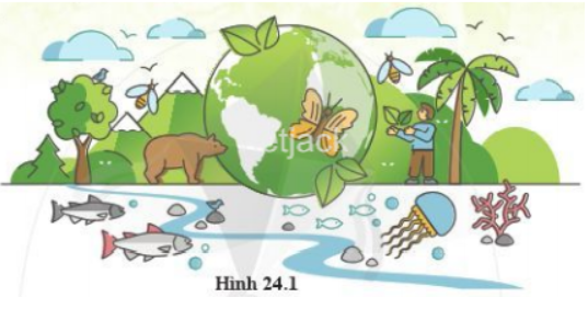 Kể tên các sinh vật có trong hình 24.1 mà em biết và nêu môi trường sống của chúng. (ảnh 1)