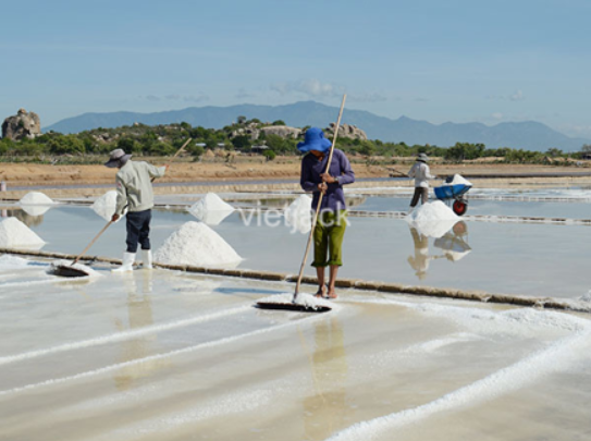 Những người làm muối (từ nước biển sạch) có thể sử dụng những cách làm (ảnh 1)