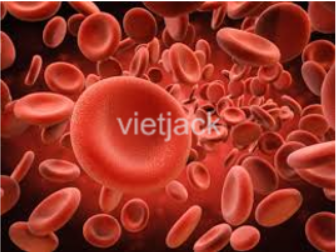 Hãy tìm hiểu hình dạng tế bào hồng cầu ở người phù hợp với chức năng của nó như thế nào (ảnh 1)