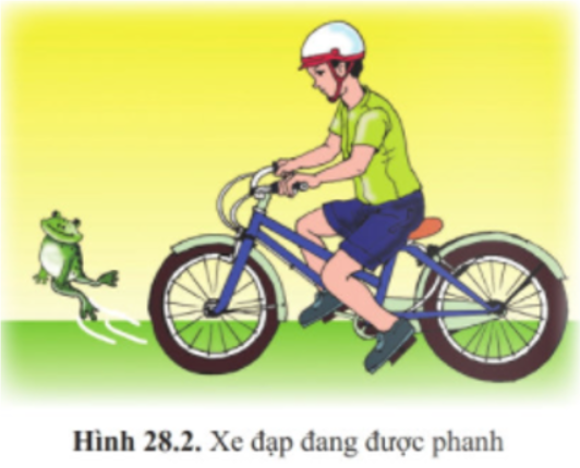 Khi gặp trường hợp khẩn cấp, người đi xe đạp bóp mạnh phanh (ảnh 1)