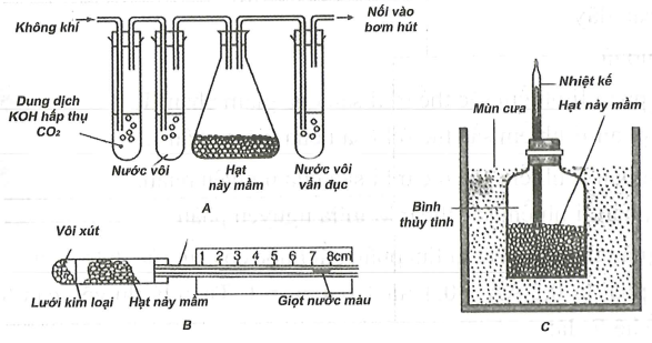 Có bao nhiêu phát biểu sau đây là không đúng các thí nghiệm  (ảnh 1)