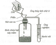 Quan sát thí nghiệm ở hình bên (chú ý: ống nghiệm đựng nước vôi trong bị vẩn đục) và chọn kết luận đúng nhất (ảnh 1)