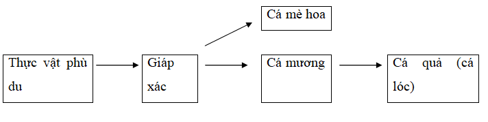 Giả sử lưới thức ăn đơn giản của một ao nuôi cá như sau (ảnh 1)