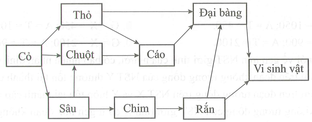 Quan sát lưới thức ăn dưới đây và cho biết, có bao nhiêu phát biểu sau đây là đúng (ảnh 1)